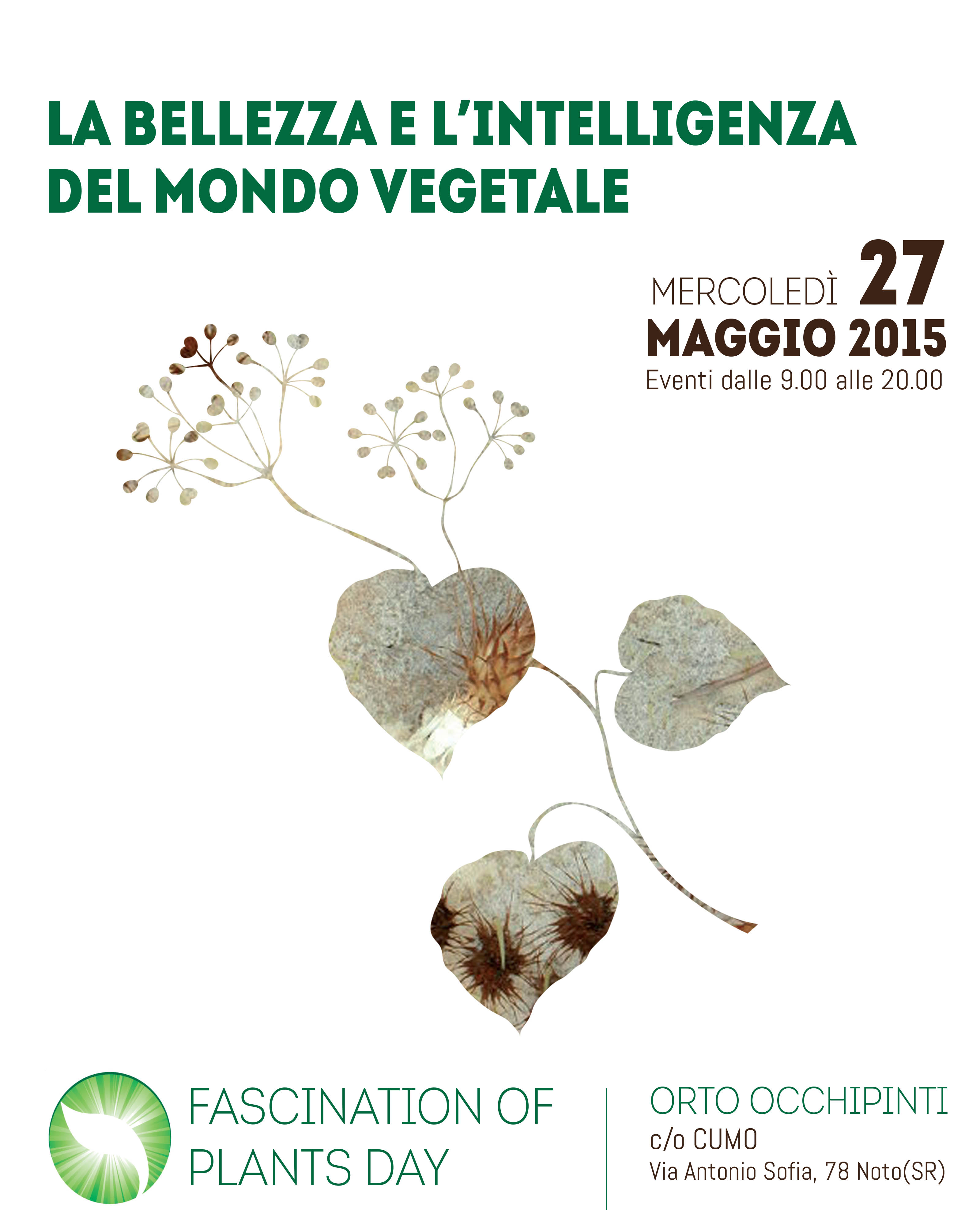 flyer-stampa_